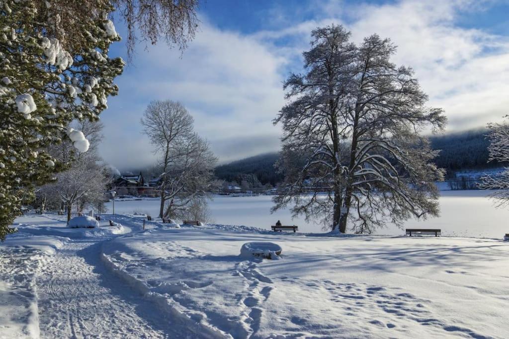 Waldklang Titisee Kültér fotó