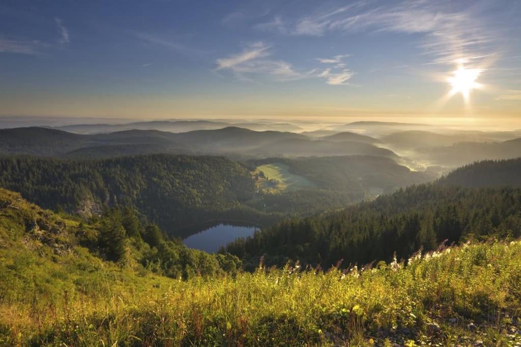 Waldklang Titisee Kültér fotó