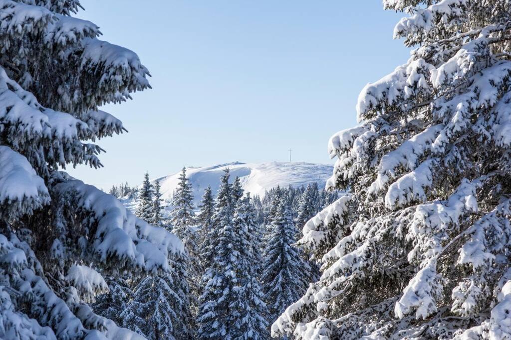 Waldklang Titisee Kültér fotó