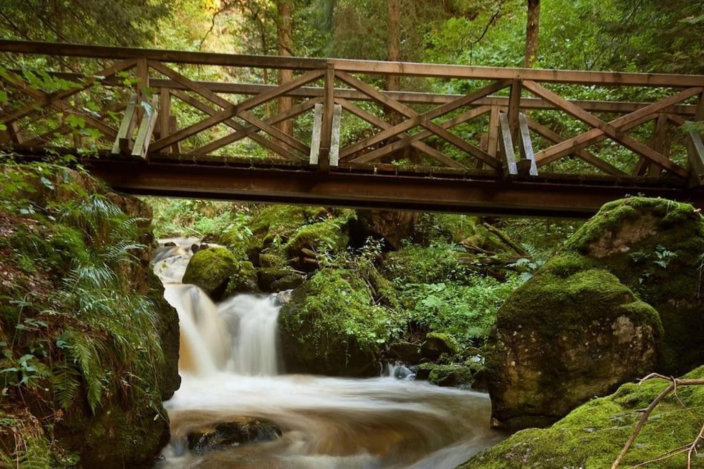 Waldklang Titisee Kültér fotó