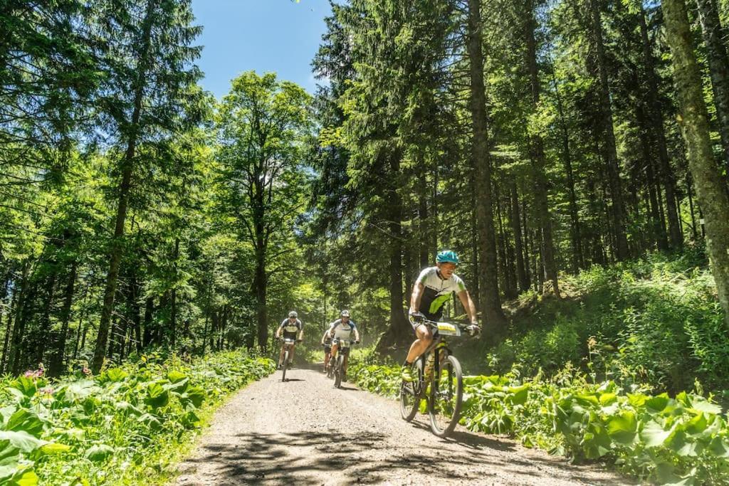 Waldklang Titisee Kültér fotó